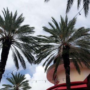 Meet your Posher, Dee